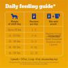 imagePedigree Choice Cuts in Gravy Adult Soft Wet Dog Food 16Count Filet Mignon Flavor 35 oz Pouches