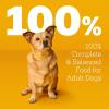 imagePedigree Choice Cuts in Gravy Adult Soft Wet Dog Food 16Count Filet Mignon Flavor 35 oz Pouches