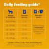 imagePedigree Choice Cuts in Gravy Adult Soft Wet Dog Food 48Count Variety Pack 35 oz Pouches