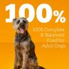 imagePedigree Chopped Ground Dinner Adult Canned Soft Wet Dog Food Filet Mignon Flavor 132 oz Cans 12 Count Pack of 1Filet Mignon  Bacon