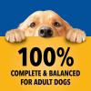 imagePedigree Chopped Ground Dinner Adult Soft Wet Dog Food 16Count Beef Bacon and Cheese Flavors 35 oz PouchesChicken  Beef  Bacon  Filet Mignon