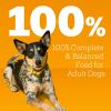 imagePedigree Chopped Ground Dinner Weight Management Wet Dog Food Chicken ampamp Rice Dinner in Meaty Juices 132 oz Cans 12 Count Pack of 1