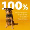 imagePedigree Complete Nutrition Adult Dry Dog Food Grilled Steak ampamp Vegetable Flavor 18 lb BagChicken  Vegetable