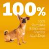 imagePedigree Complete Nutrition Adult Small Dog Dry Dog Food Roasted Chicken Rice ampamp Vegetable Flavor 14 lb BagChicken  Vegetable