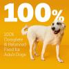 imagePedigree Complete Nutrition Big Dog Dry Dog Food Roasted Chicken Rice and Vegetable Flavor 27 lb BagChicken  Vegetable