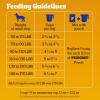 imagePedigree Complete Nutrition Big Dog Dry Dog Food Roasted Chicken Rice and Vegetable Flavor 27 lb BagChicken  Vegetable