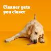 imagePedigree Dentastix Dual Flavor Large Breed Dog Treats Bacon ampamp Chicken 147 lb Bag 32 Treats