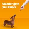 imagePedigree Dentastix Dual Flavor Small Breed Dog Treats Bacon ampamp Chicken 1778 oz Bag 84 Treats