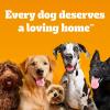 imagePedigree Dentastix Small and Toy Breed Dog Treats Original Beef ampamp Fresh Flavor 236 lb Variety Pack 157 TreatsChicken