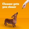 imagePedigree Dentastix Small and Toy Breed Dog Treats Original Beef ampamp Fresh Flavor 236 lb Variety Pack 157 TreatsMint
