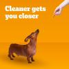 imagePedigree Dentastix Small and Toy Breed Dog Treats Original with Real Chicken 7 24ct Bags 168 Treats Total