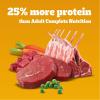 imagePedigree High Protein Adult Dry Dog Food Beef and Lamb Flavor 35 lb Bag