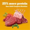 imagePedigree High Protein Adult Dry Dog Food Chicken and Turkey Flavor 18 lb BagBeef and Lamb