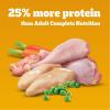 imagePedigree High Protein Adult Dry Dog Food Chicken and Turkey Flavor 18 lb BagChicken and Turkey