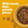 imagePedigree High Protein Adult Dry Dog Food Chicken and Turkey Flavor 18 lb BagChicken and Turkey
