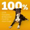 imagePedigree High Protein Adult Dry Dog Food Chicken and Turkey Flavor 18 lb BagChicken and Turkey