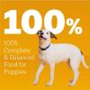 imagePedigree Puppy Chopped Ground Dinner Canned Wet Puppy Food with Chicken ampamp Beef 132 oz Cans 12 Count Pack of 1Chicken  Beef