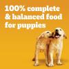 imagePedigree Puppy Soft Wet Dog Food Variety Pack 35 oz Pouches 18 Count Pack of 235 Ounce Pack of 2
