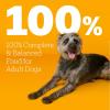 imagePedigree with MarroBites Pieces Adult Dry Dog Food Grilled Steak and Vegetable Flavor 36 lb BagSteak  Vegetable