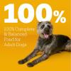 imagePedigree with MarroBites Pieces Adult Dry Dog Food Grilled Steak and Vegetable Flavor 36 lb BagSteak  Vegetable