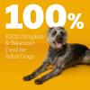 imagePedigree with Tender Bites Adult Dry Dog Food Chicken and Steak Flavor 14 lb BagChicken  Steak