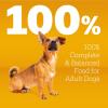 imagePedigree with Tender Bites for Small Dogs Adult Dry Dog Food Chicken and Steak Flavor 14 lb BagChicken  Steak