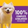 imagePedigree with Tender Bites for Small Dogs Adult Dry Dog Food Chicken and Steak Flavor 14 lb BagChicken  Steak with Tender Bites