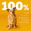imagePedigree Choice Cuts in Gravy Adult Wet Dog Food 16Count Beef Bacon ampamp Cheese Flavors 35 oz Pouches