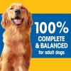 imagePedigree Complete Nutrition Adult Dry Dog Food Grilled Steak amp Vegetable Flavor Dog Kibble 16 lb Bag