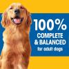 imagePedigree Complete Nutrition Adult Dry Dog Food Roasted Chicken Rice amp Vegetable Flavor Dog Kibble 16 lb Bag